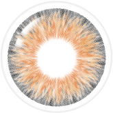 Lenstown Aquafit Brown Monthly (2 Pack)